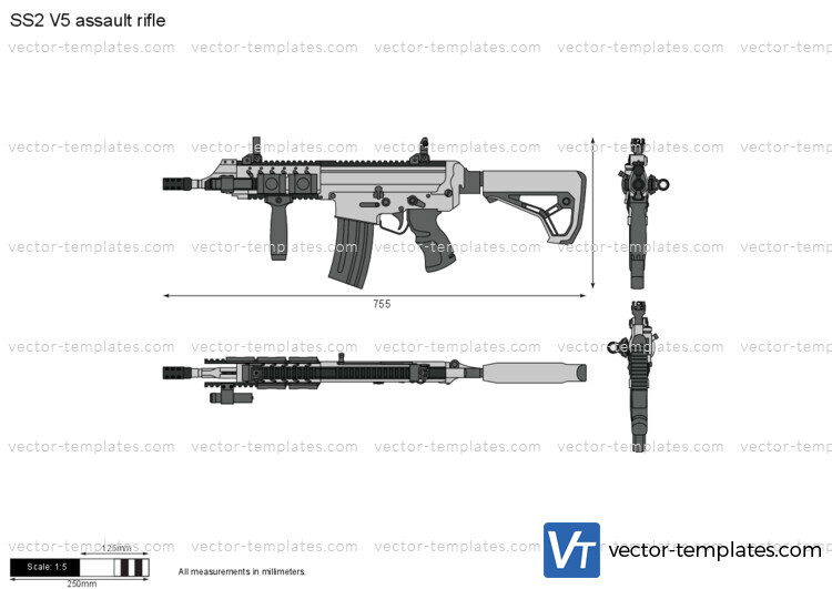 SS2 V5 assault rifle