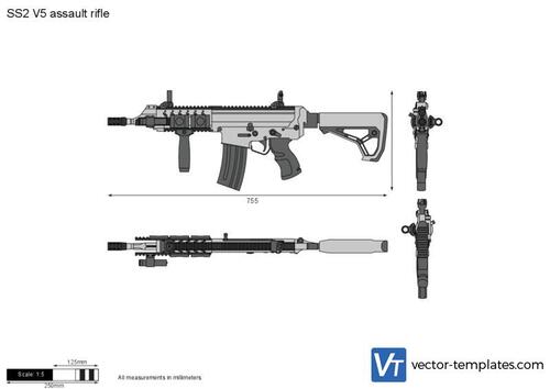 SS2 V5 assault rifle