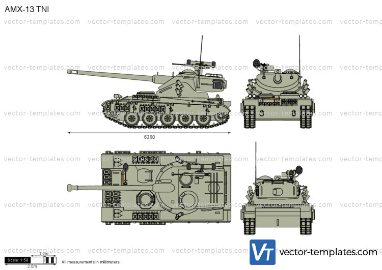 AMX-13 TNI