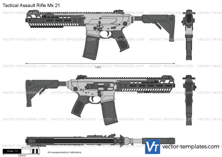 Tactical Assault Rifle Mk 21