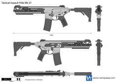Tactical Assault Rifle Mk 21