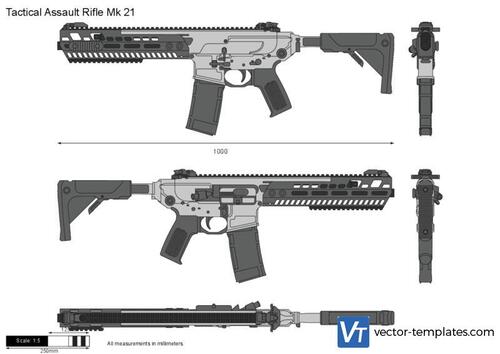 Tactical Assault Rifle Mk 21