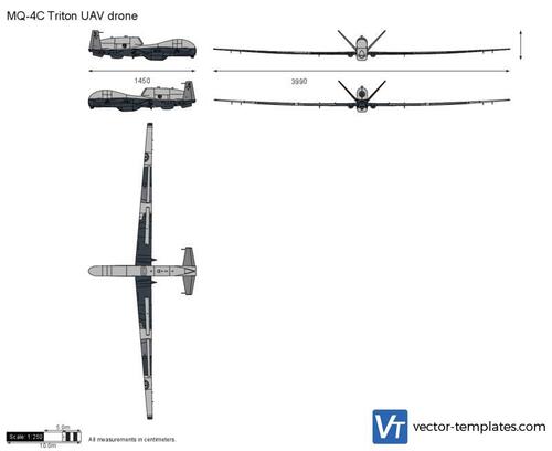 MQ-4C Triton UAV drone