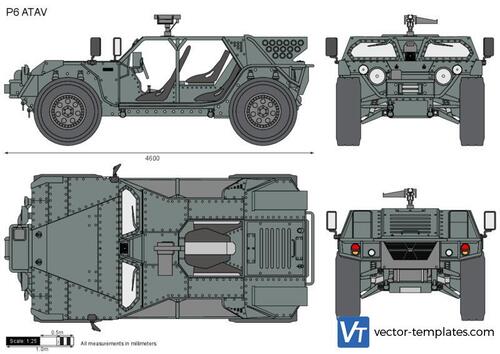 P6 ATAV