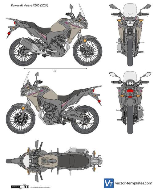 Kawasaki Versys X300