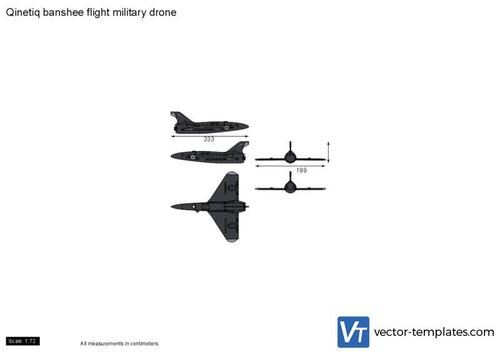 Qinetiq banshee flight military drone