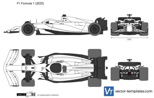 F1 Formula 1