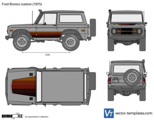 Ford Bronco custom
