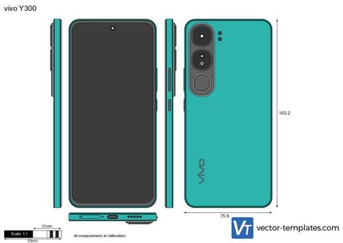 vivo Y300