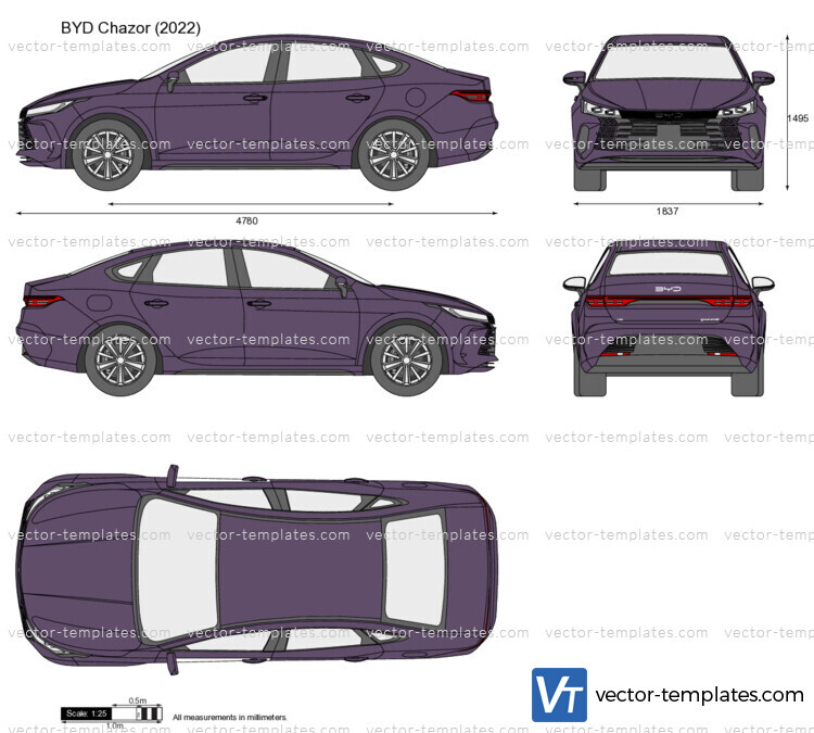 BYD Chazor