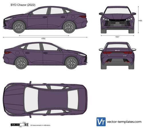 BYD Chazor