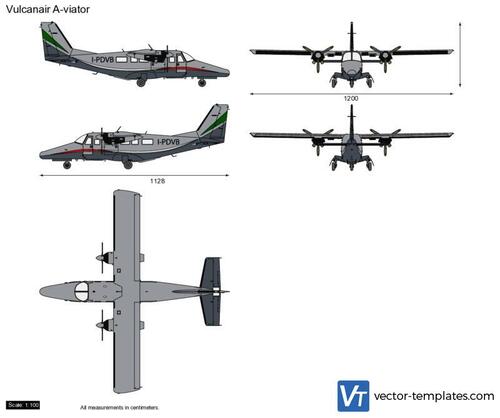 Vulcanair A-viator