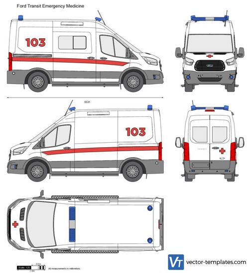 Ford Transit Emergency Medicine