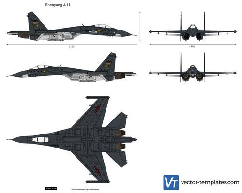 Shenyang J-11