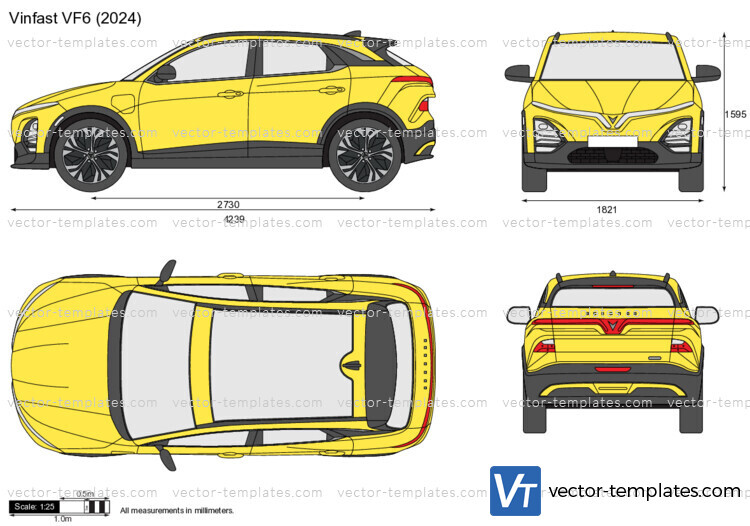 Vinfast VF6