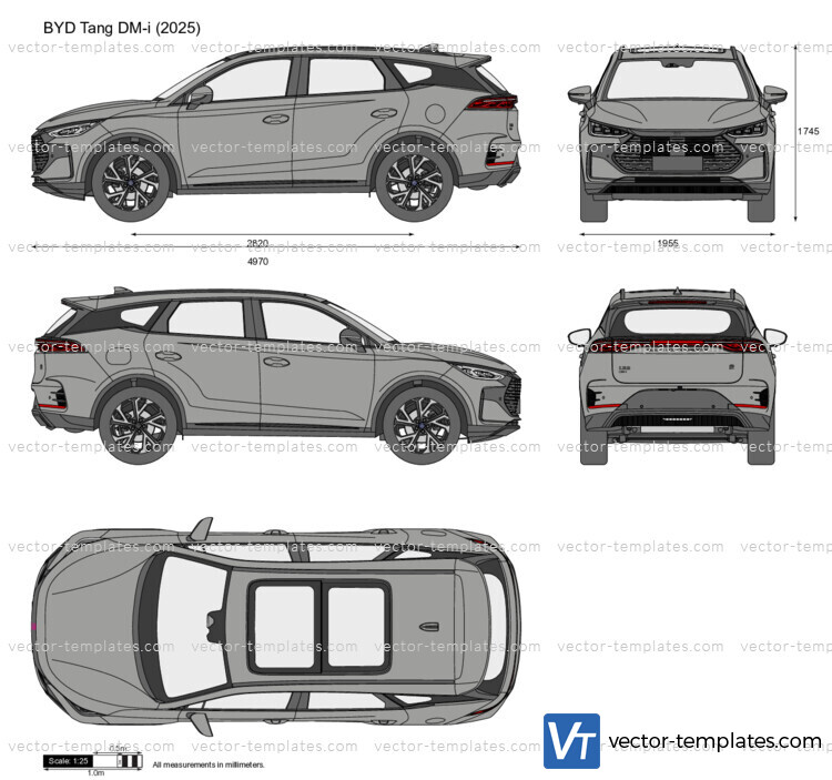 BYD Tang DM-i